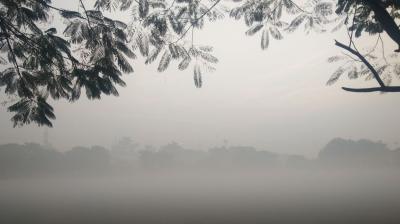 Punjab Weather Update news