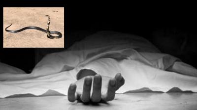 Ludhiana Snake Bite Death News