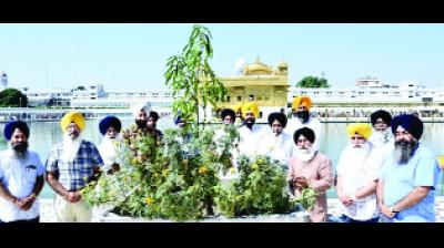 ਸ੍ਰੀ ਦਰਬਾਰ ਸਾਹਿਬ ਦੀ ਪਰਕਰਮਾ ਵਿਚ ਗਮਲਿਆ ਅੰਦਰ ਅੰਬ ਦੇ ਬੂਟੇ ਲਗਾਉਣ ਸਮੇਂ ਡਾ. ਰੂਪ ਸਿੰਘ, ਸ. ਸੁਖਦੇਵ ਸਿੰਘ ਭੂਰਾਕੋਹਨਾ, ਸ. ਕੁਲਵਿੰਦਰ ਸਿੰਘ ਰਮਦਾਸ, ਸ. ਸਕੱਤਰ ਸਿੰਘ, ਸ. ਮੁਖਤਾਰ ਸਿੰਘ ਅਤੇ ਹੋਰ।