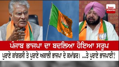 Changed form of Punjab BJP