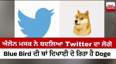 Elon Musk changed Twitter logo to Doge
