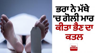 The Brother killed the sister in Haryana 