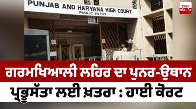 Punjab haryana high court News in punjabi 