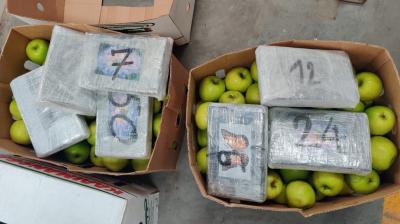 Cocaine worth 502 crore seized from Mumbai's Nahwa Sheva port