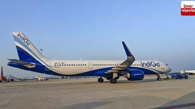IndiGo flight crisis: Court refuses to hear PIL seeking compensation for passengers