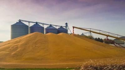 Another silo added to the existing list of 11 silos in Punjab