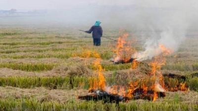 Notice to 397 officials who failed to stop stubble burning in Punjab