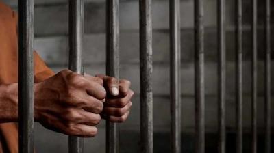 Life imprisonment for the son who murdered his mother