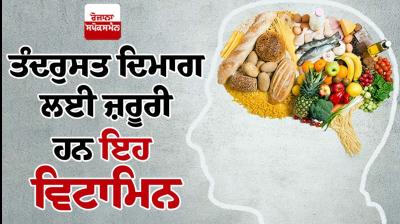 These vitamins are essential for a healthy brain