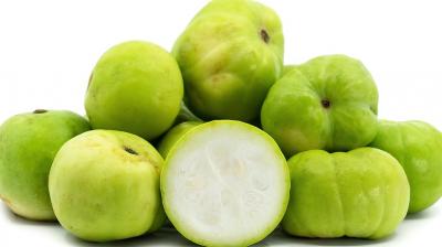 Health News: Eating tinda has exceptional benefits, many diseases are removed