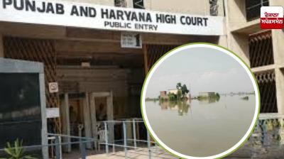 Punjab-Haryana High Court seeks response from state on flood relief