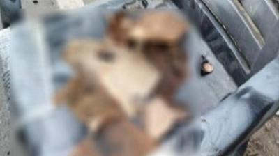 Gutka Sahib was insulted by mischievous miscreants at Hydernagar