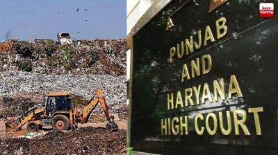 Punjab and Haryana High Court fines Chandigarh MC for delay in filing reply in Dadu Majra dump case