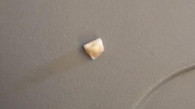 One such thing that could be obtained from the flight food...