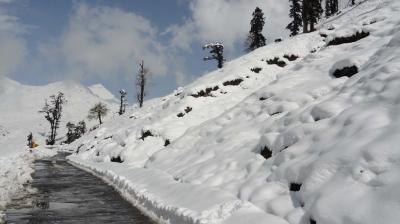 Manali Heavy Snowfall