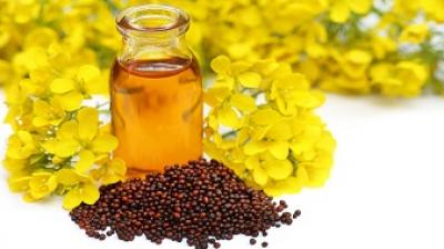 Mustard oil