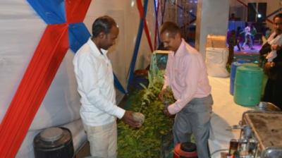 Books and Plants at the Wedding