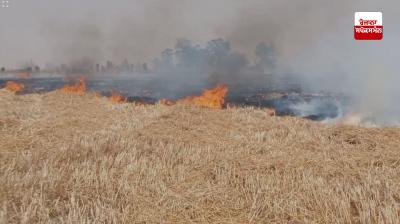 ਸੰਗਰੂਰ ਦੇ ਪਿੰਡ ਹਰਚੰਦਪੁਰ ਦੇ ਖੇਤਾਂ ’ਚ ਲੱਗੀ ਭਿਆਨਕ ਅੱਗ