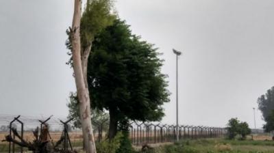 Punjab farmers’ widows respond to apathy by standing in elections