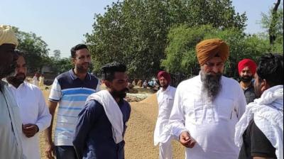 AAP leaders visited mandis in the state