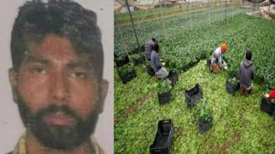 Italy: The owner of the agricultural company was arrested in the case of the death of a Punjabi farm worker