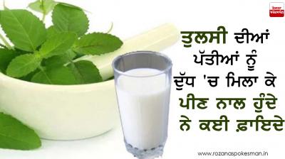 Tulsi with Milk