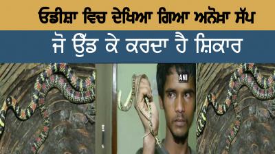 odisha flying snake was seized from possession of a man in bhubaneswar viral-video