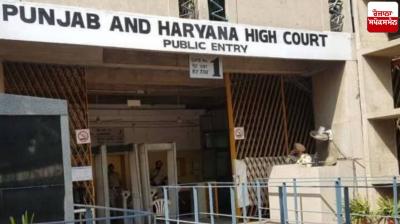 punjab haryana high court Application for bail News In punjabi 