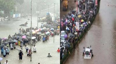 Mumbai Rain News in punjabi 