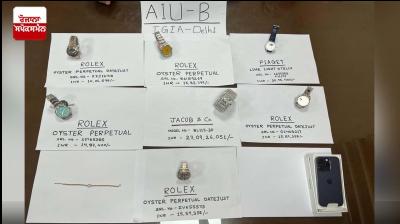 Delhi Customs seizes seven expensive wristwatches from passenger