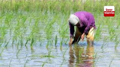 Indian farmers need $75 billion investment to tackle climate change impacts: IFAD President