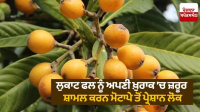 Surprising Benefits of Loquats