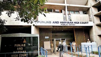 Punjab Haryana High Court