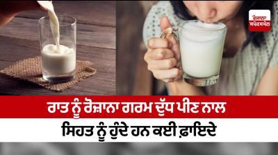 Drinking warm milk daily at night has many health benefits