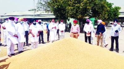 ਵਿਧਾਇਕ ਜਲਾਲਪੁਰ ਵਲੋਂ ਅਨਾਜ ਮੰਡੀਆਂ ਦਾ ਦੌਰਾ