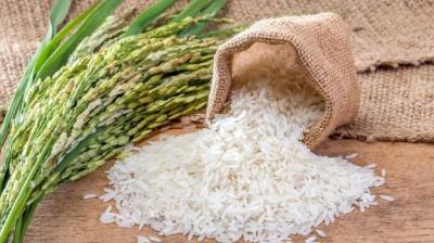 India's basmati success now Pakistan's new label