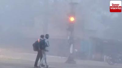 Drizzle in Uttar Pradesh, cold wave continues for four days