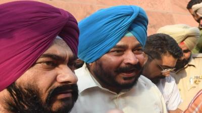 Investigation of tree guard scam in Punjab revealed Punjab News in punjabi 