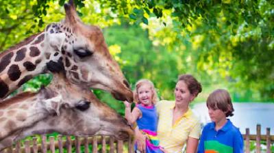 Now visit lucknow zoo while sitting at home in lucknow
