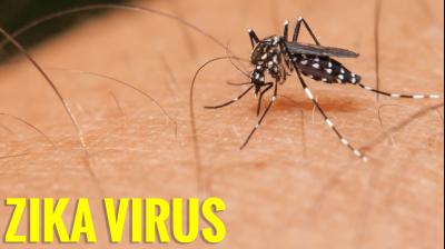 Zika Virus