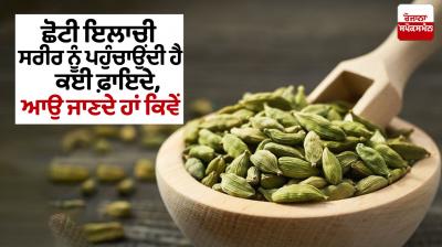 Small cardamom benefits