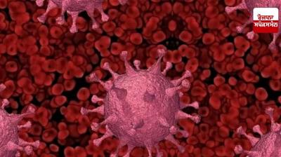 Amritsar Corona Case News in punjabi 