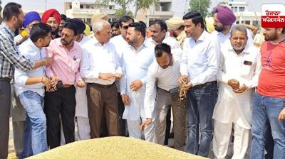 Cabinet Minister Barinder Kumar Goyal has started government procurement of wheat in Moonak and Khanauri grain markets.
