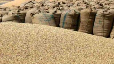 Procurement of wheat