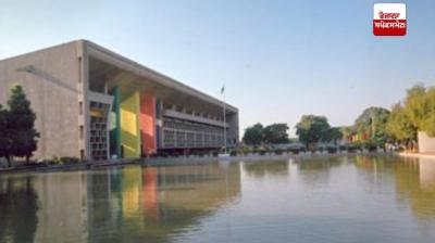 High Court expresses displeasure over Election Tribunal's negligence in Sarpanch election case