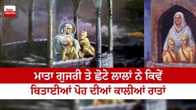 Mata Gujri ji, Chote Sahibzaade