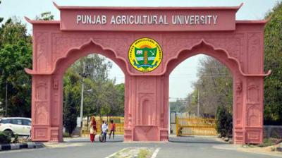 Punjab Agricultural University