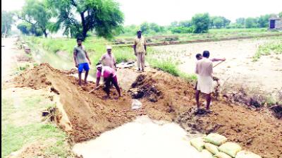 Farmers and Workers Filling Road