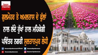 Massive drive for plantation of flower trees and flowers at Sultanpur Lodhi