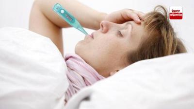 What should we eat when the fever rises? Let's find out